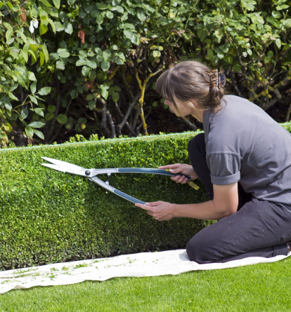 Landscape Design